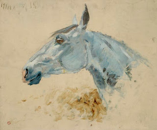 grey horse