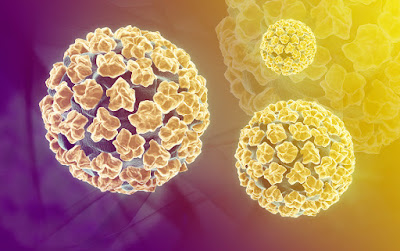 Virus HPV tồn tại ngoài môi trường bao lâu mới chết