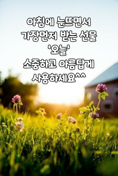 첫 번째 이미지