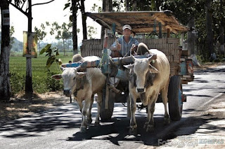  Gambar alat transportasi tradisional dan modern sengaja saya susun agar adik Kliping Gambar Alat Transportasi Tradisional dan Modern 