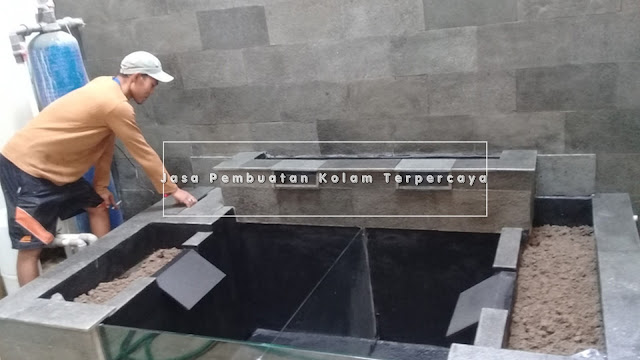 JASA PEMBUATAN (KOLAM MINIMALIS DAN KOLAM IKAN KOI) DI SIDOARJO, JASA TUKANG KOLAM MURAH DAN BERGARANSI DI KOTA SIDOARJO DAPATKAN HARGA PEMBUATAN KOLAM MURAH HANYA DI KAMI JASA TUKANG KOLAM SIDOARJO, PELAYANAN PEMBUATAN KOLAM KAMI MELIPUTI SEBAGAI BERIKUT : JASA PEMBUATAN FILTER KOLAM IKAN KOI MINIMALIS DI SIDOARJO, JASA RENOVASI KOLAM DI SIDOARJO, JASA PERBAIKAN KOLAM DI SIDOARJO, JASA DESAIN KOLAM IKAN KOI MINIMALIS DI SIDOARJO, JASA PEMBUATAN KOLAM KOI MINIMALIS, JASA TUKANG KOLAM IKAN KOI SIDOARJO, TUKANG KOLAM MURAH DI SIDOARJO