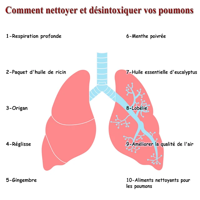 Comment nettoyer et désintoxiquer vos poumons