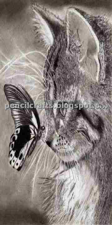 Cat Pencil Drawings Sketches and Ideas