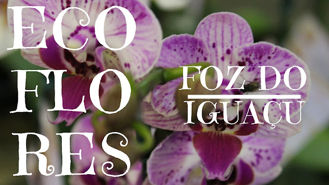 Ecoflores exposição de flores de Foz do Iguaçu