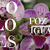 Ecoflores, uma Feira de Flores em Foz do Iguaçu