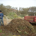 The compost pile