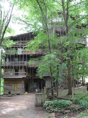 The World's Biggest Treehouse (14) 3