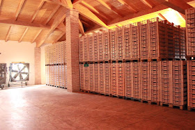 Amarone grape drying