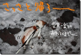 今日カズ１０１１２１　４