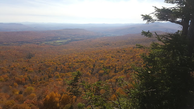 Vue à partir du sommet du mont Echo