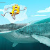  Bitcoin whales are betting $40K isn't the top as data hints bull run is only beginning 