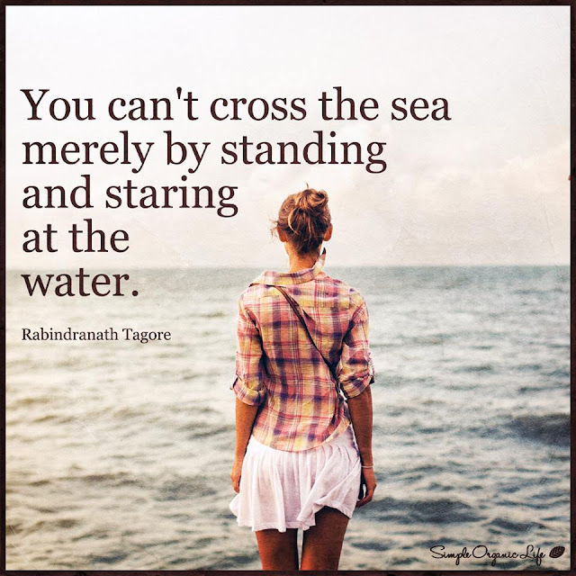 you can't cross the sea merely by standing and staring at the water meaning quote