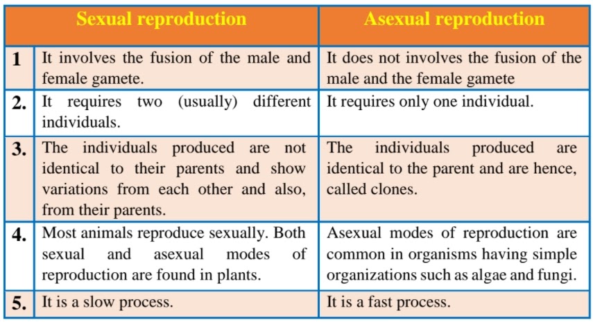 Biology Chapter 1 Reproduction in Organisms