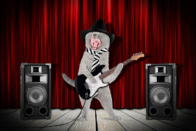 A rock star cat playing guitar and singing