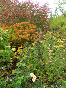 Autumn border at the Toronto Botanical Garden by garden muses-not another Toronto gardening blog