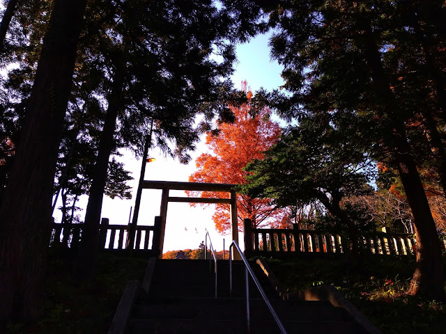 居多神社への入口