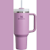 Stanley Quencher Tumblers: Your Ultimate Hydration Companion