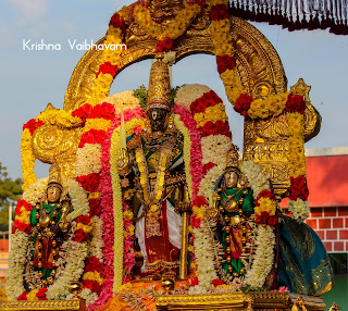 MadhaPurppadu,Thai,Ekadesi,Vaibhavam,Dharisanam, Sri PArthasarathy Perumal, Perumal, Venkata Krishna , Varushotsavam, 2018, Video, Divya Prabhandam,Triplicane,Thiruvallikeni,Utsavam,