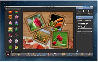 Free Download Picture Collage Maker Pro