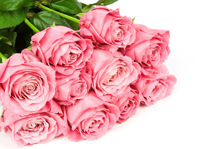 flores de rosas bonitas