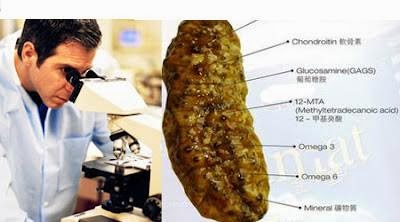 cara mengobati liver samapai sembuh total