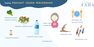 Agar pencernaan sehat