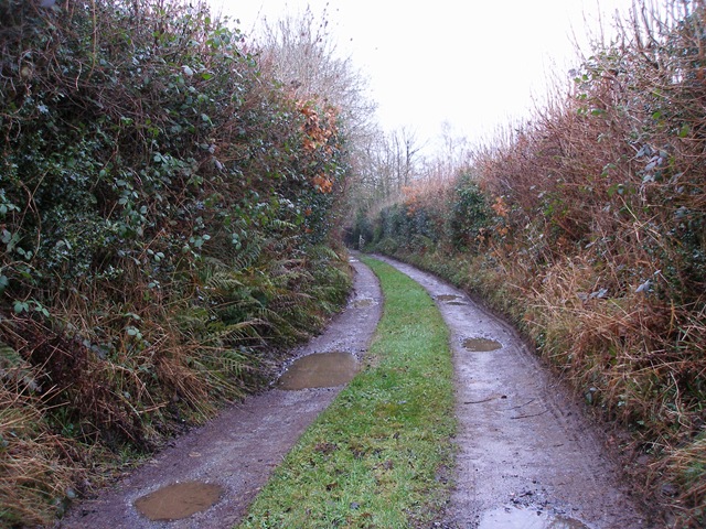 30th_january_09
