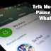 Wajib Tau! Trik Pause Status WhatsApp Tanpa Tahan Layar HP