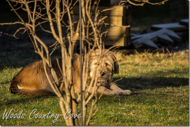 MARCH 2016 (5 of 67)