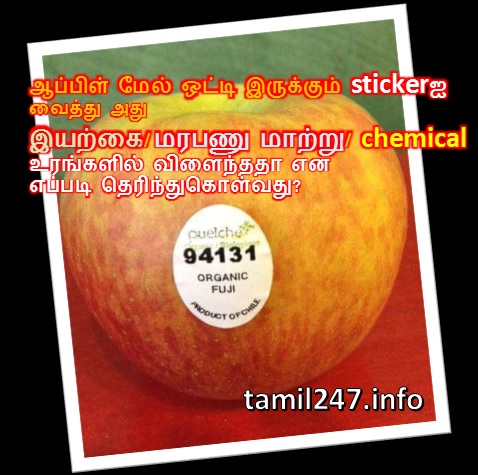 ஆப்பிள் மீது ஒட்டி இருக்கும் sticker ஐ வைத்து அந்த ஆப்பிள் இயற்கை /மரபணு மாற்று/ chemical உரங்களில் விளைந்ததா என எப்படி தெரிந்துகொள்வது? 