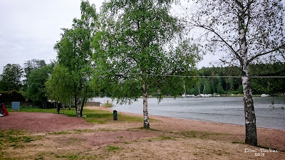 Windom asennettuna puiden väliin. Antennin syöttöpisti n. 3m korkeudella veden äärellä.