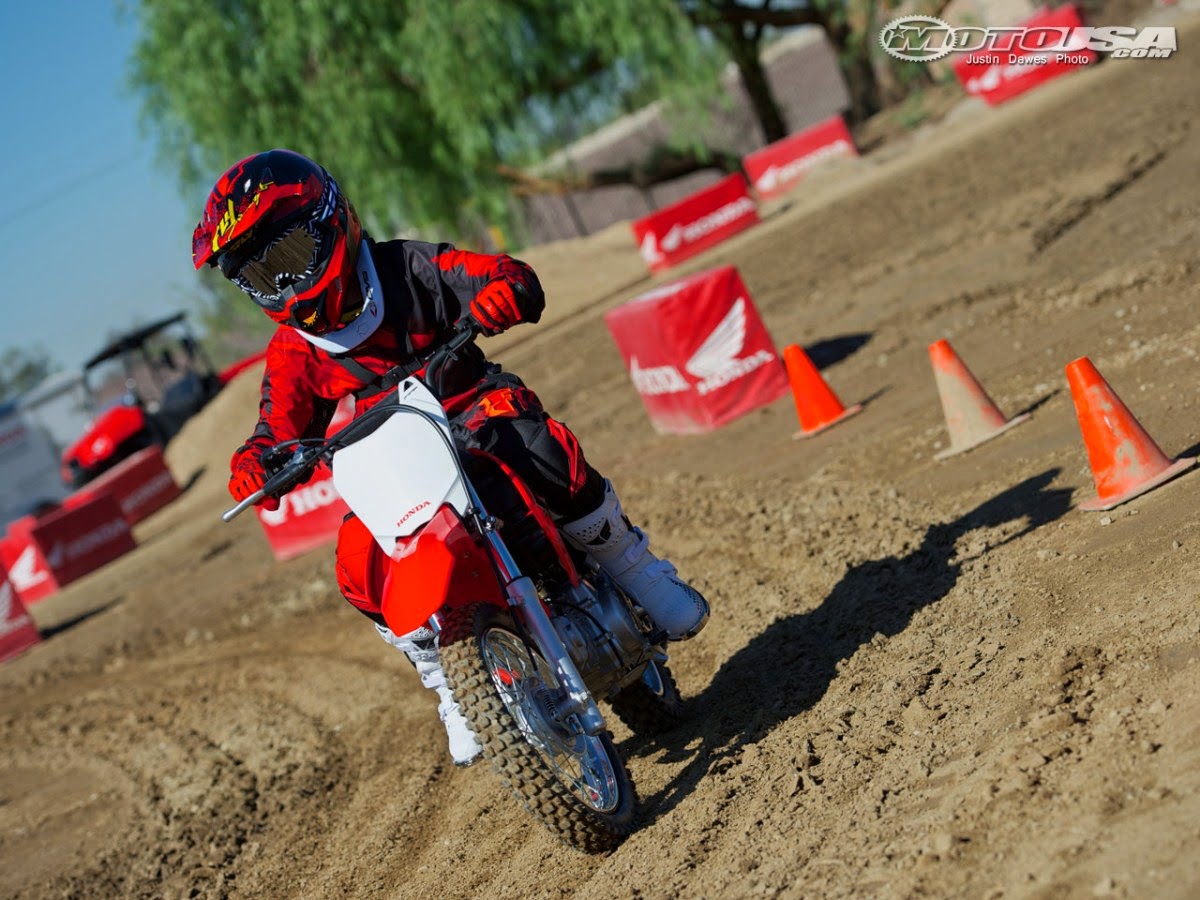 2014 Honda CRF110F Picture