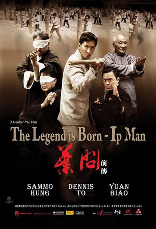 The Legend Is Born: Ip Man 2010 Film Completo Streaming