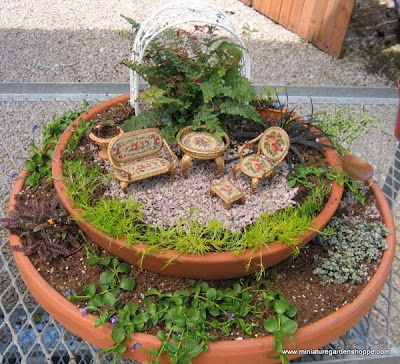 miniature garden plants