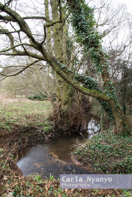 river sherbourne