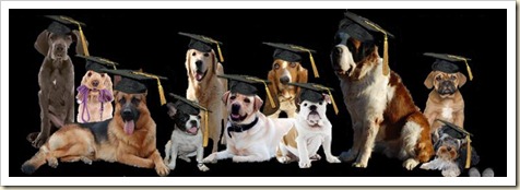 Perros graduados