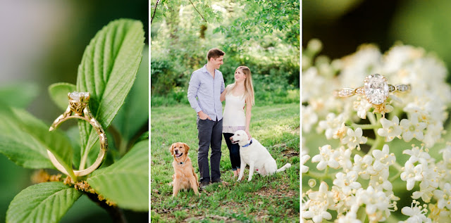 Alexandria, VA Belle Haven Park Engagement Photo Session photographed by Maryland Wedding Photographer Heather Ryan Photography