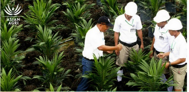 Lowongan Kerja Lowongan Kerja Asian Agri Assistant Trainee Tingkat D3 S1 Bulan    April 2024