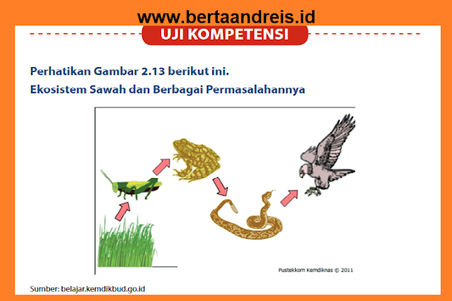 Kunci Jawaban IPA Kelas 7 Halaman 44 - 46 Uji Kompetensi