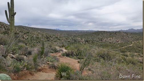 Romero pools hike_006