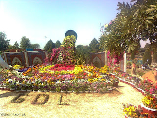 Flowers Exhibition In Pakistan