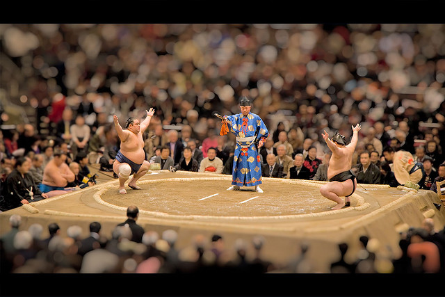 toy sumo