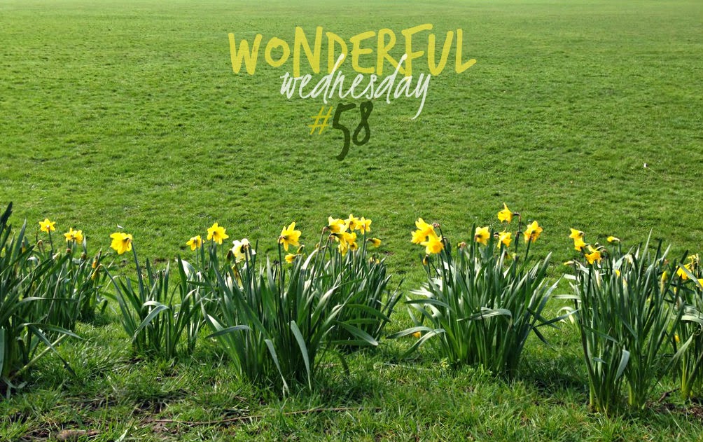 Wonderful Wednesday #58