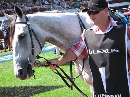 race6_luckygray2