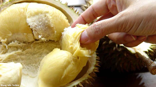 Tenyata Khasiat Durian Sangat Baik Untuk Kesehatan