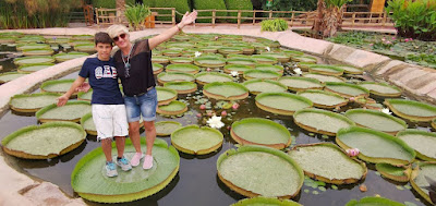 El Crocopark de Agadir.