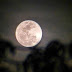 Galeri Foto Super Moon 14 November 2016 