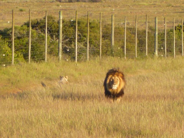 P1040002_2-2012-10-24-00-54.jpg