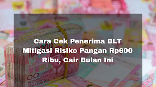 Cara Cek Penerima BLT Mitigasi Risiko Pangan Rp600 Ribu, Cair Bulan Ini