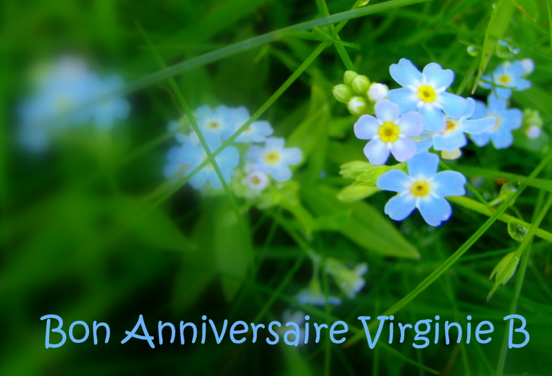 Randonnez Vous Dans Ce Blog Bon Anniversaire Virginie